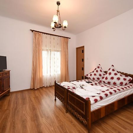Casa Para Ξενοδοχείο Haţeg Εξωτερικό φωτογραφία
