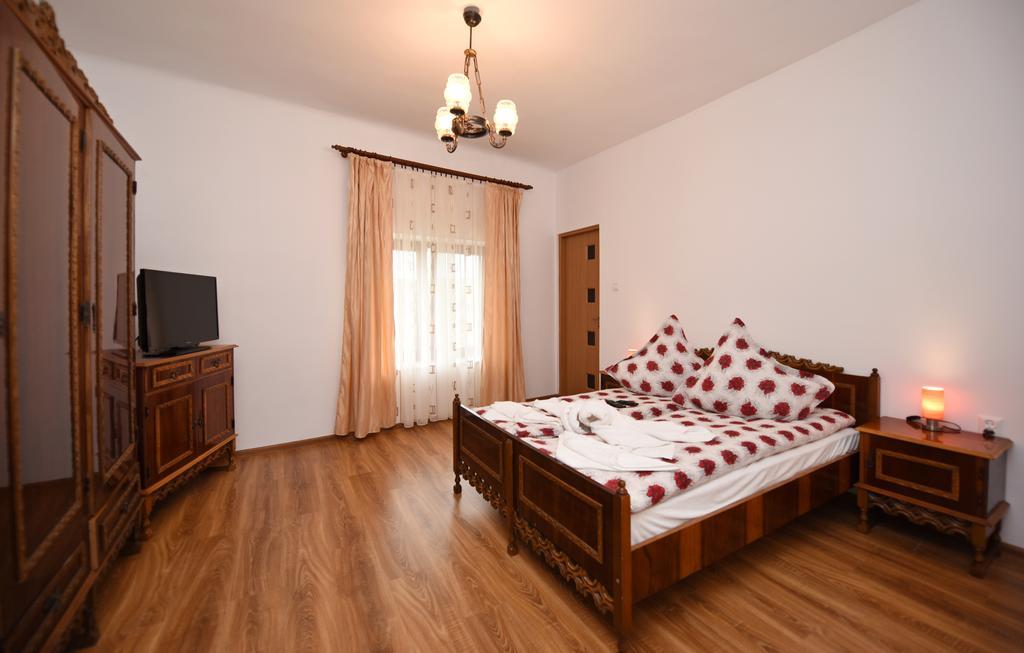 Casa Para Ξενοδοχείο Haţeg Εξωτερικό φωτογραφία