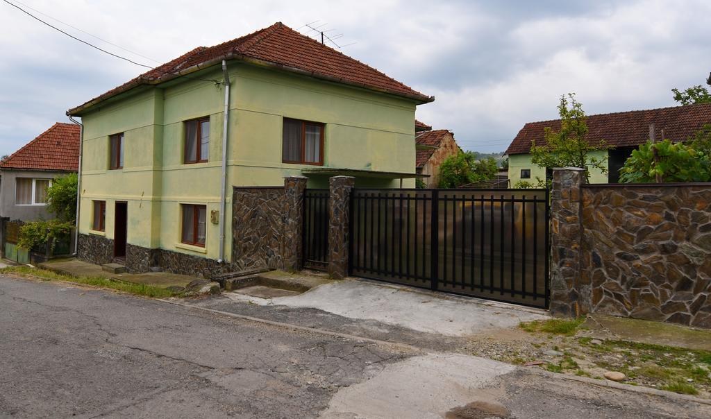 Casa Para Ξενοδοχείο Haţeg Εξωτερικό φωτογραφία